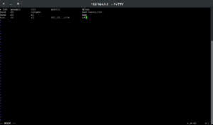 Putty - Fichier pg_hba.conf modifié